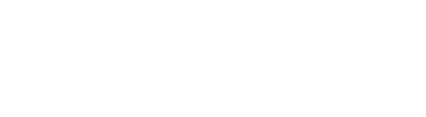Valley Propane Logo White