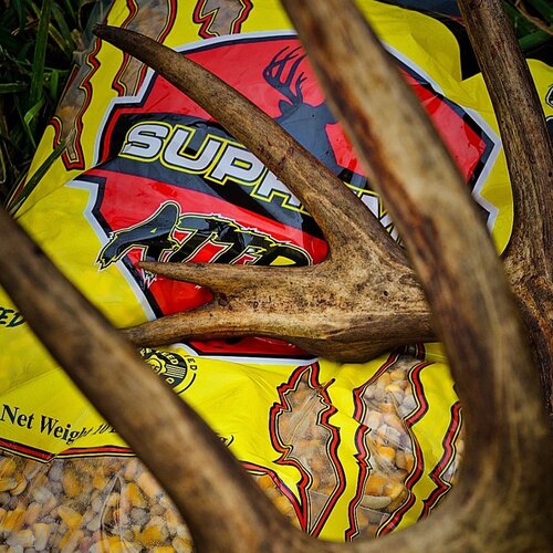 image-asset Attrax Supreme corn bags